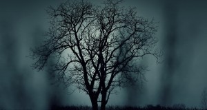 A Morte – Iqara Islam
