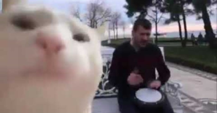 Göregen: O turco que ficou famoso pelo meme do gato dançante