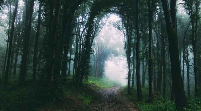 Hadith sobre Ocultar Erros de Outros Muçulmanos