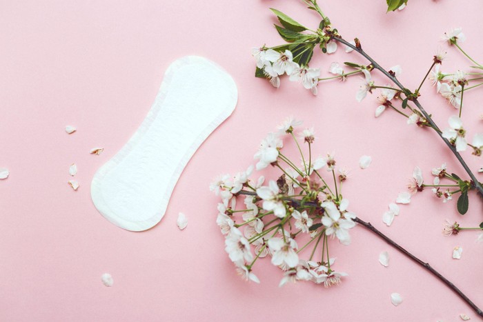 Regras sobre menstruação na Escola Maliki – Sheykh Abdullah bin Hamid Ali