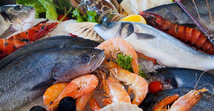 Hanafi: Quais Frutos do Mar são Proibidos?